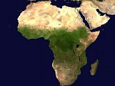 Zbiórka Nasion i Warzyw dla Afryki - powiększ zdjęcie